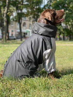 Дощовик для великих собак чорний з сiрим MB-6 фото