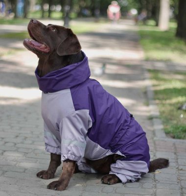 Дощовик для великих собак фіолет з сiрим MB-3 фото