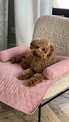 Лежак на диван рожевий L-4 фото
